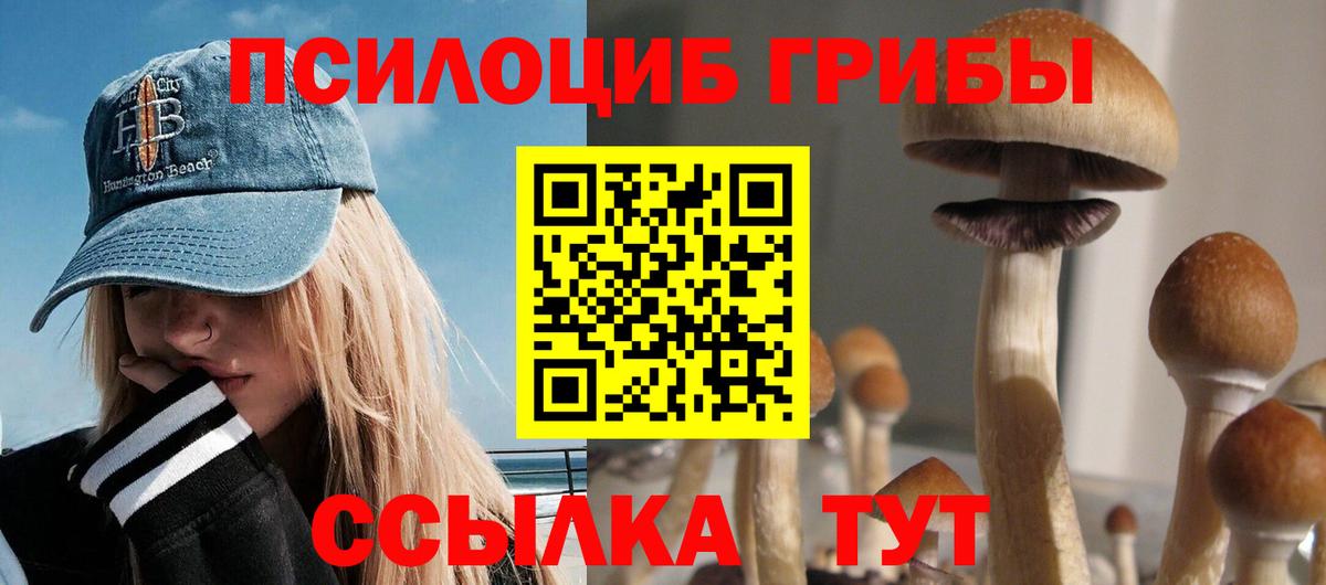 Псилоцибиновые грибы прущие грибы Тверь