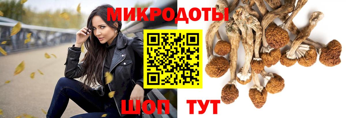 Галлюциногенные грибы MAGIC MUSHROOMS  Галлюциногенные грибы GOLDEN TEACHER  Вход с VPN  Тверь 